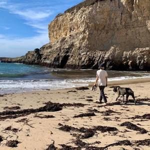 Meet your Posher, Matt